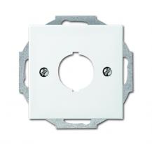 Busch-Jaeger 2534-914 Zentralscheibe mit Tragring