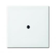 Busch-Jaeger 2536-914 Zentralscheibe