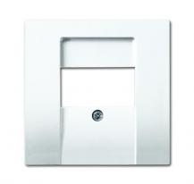 Busch-Jaeger 2539-914 Zentralscheibe