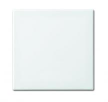 Busch-Jaeger 2546-914 Wippe anschraubbar (Halteelement)