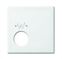 Busch-Jaeger 2548-020 F-914 Zentralscheibe