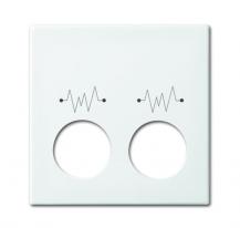 Busch-Jaeger 2548-021 G-914 Zentralscheibe