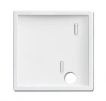 Busch-Jaeger 2548-046 A-84 Zentralscheibe