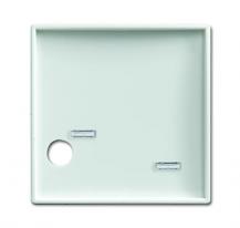 Busch-Jaeger 2548-046 A-914 Zentralscheibe