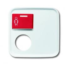 Busch-Jaeger 2548-071 E-214-101 Zentralscheibe