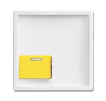 Busch-Jaeger 2548-642 D-84 Zentralscheibe