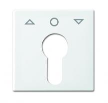 Busch-Jaeger 2557 PZ-914-101 Zentralscheibe mit Aufdruck