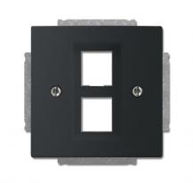 Busch-Jaeger 2561-02-885 Zentralscheibe