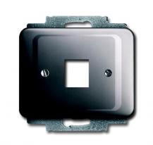 Busch-Jaeger 2561-20 Zentralscheibe mit Tragring