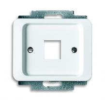 Busch-Jaeger 2561-24G Zentralscheibe mit Tragring