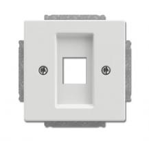 Busch-Jaeger 2561-884 Zentralscheibe