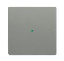 Busch-Jaeger 6230-10-803 Wippe 1-fach ohne Bedruckung