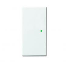 Busch-Jaeger 6230-20-84 Wippe 2-fach links/rechts ohne Bedruckung