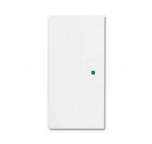 Busch-Jaeger 6230-20-884 Wippe 2-fach links/rechts ohne Bedruckung