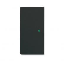 Busch-Jaeger 6230-20-885 Wippe 2-fach links/rechts ohne Bedruckung