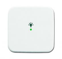 Busch-Jaeger 6231-10-214 Wippe 1-fach mit Symbol "Licht"