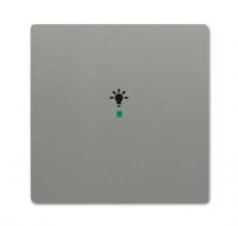 Busch-Jaeger 6231-10-803 Wippe 1-fach mit Symbol "Licht"