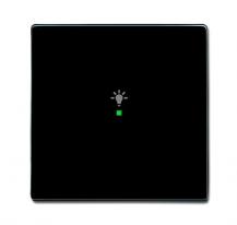 Busch-Jaeger 6231-10-81 Wippe 1-fach mit Symbol "Licht"