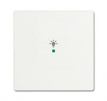 Busch-Jaeger 6231-10-884 Wippe 1-fach mit Symbol "Licht"