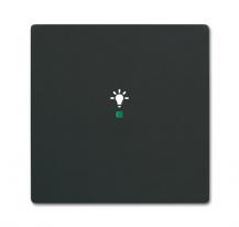 Busch-Jaeger 6231-10-885 Wippe 1-fach mit Symbol "Licht"