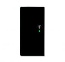 Busch-Jaeger 6231-21-81 Wippe 2-fach links mit Symbol "Licht"