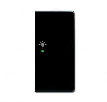 Busch-Jaeger 6231-22-81 Wippe 2-fach rechts mit Symbol "Licht"