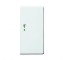 Busch-Jaeger 6231-22-84 Wippe 2-fach rechts mit Symbol "Licht"