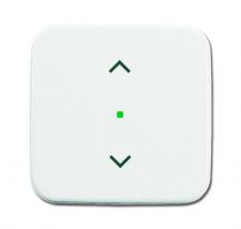 Busch-Jaeger 6232-10-214 Wippe 1-fach mit Symbol "Jalousie"