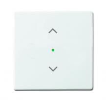 Busch-Jaeger 6232-10-84 Wippe 1-fach mit Symbol "Jalousie"