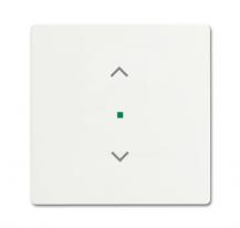 Busch-Jaeger 6232-10-884 Wippe 1-fach mit Symbol "Jalousie"