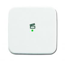 Busch-Jaeger 6233-10-214 Wippe 1-fach mit Symbol "Szene"