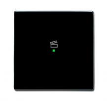 Busch-Jaeger 6233-10-81 Wippe 1-fach mit Symbol "Szene"