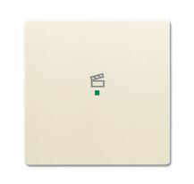 Busch-Jaeger 6233-10-82 Wippe 1-fach mit Symbol "Szene"