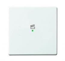 Busch-Jaeger 6233-10-84 Wippe 1-fach mit Symbol "Szene"