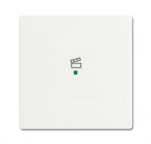 Busch-Jaeger 6233-10-884 Wippe 1-fach mit Symbol "Szene"