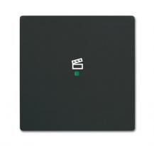 Busch-Jaeger 6233-10-885 Wippe 1-fach mit Symbol "Szene"