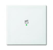 Busch-Jaeger 6233-10-914 Wippe 1-fach mit Symbol "Szene"