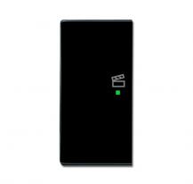 Busch-Jaeger 6233-21-81 Wippe 2-fach links mit Symbol "Szene"