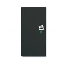 Busch-Jaeger 6233-21-885 Wippe 2-fach links mit Symbol "Szene"