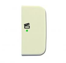 Busch-Jaeger 6233-22-212 Wippe 2-fach rechts mit Symbol "Szene"