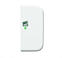 Busch-Jaeger 6233-22-214 Wippe 2-fach rechts mit Symbol "Szene"