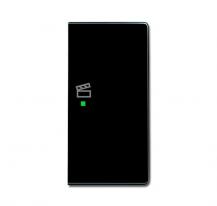 Busch-Jaeger 6233-22-81 Wippe 2-fach rechts mit Symbol "Szene"