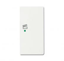 Busch-Jaeger 6233-22-884 Wippe 2-fach rechts mit Symbol "Szene"