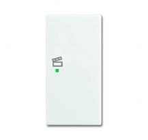 Busch-Jaeger 6233-22-914 Wippe 2-fach rechts mit Symbol "Szene"