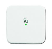 Busch-Jaeger 6234-10-214 Wippe 1-fach mit Symbol "Dimmer"