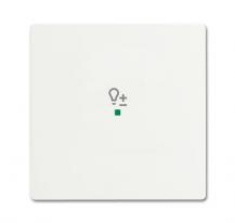 Busch-Jaeger 6234-10-884 Wippe 1-fach mit Symbol "Dimmer"