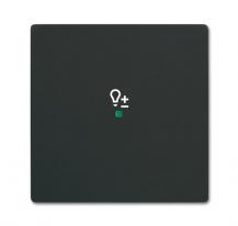 Busch-Jaeger 6234-10-885 Wippe 1-fach mit Symbol "Dimmer"