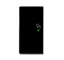 Busch-Jaeger 6234-21-81 Wippe 2-fach links mit Symbol "Dimmer"