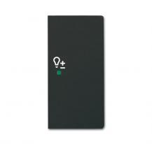 Busch-Jaeger 6234-22-885 Wippe 2-fach rechts mit Symbol "Dimmer"