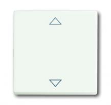 Busch-Jaeger 6430-884-102 Bedienelement